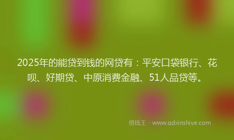 2025年的能贷到钱的网贷有：平安口袋银行、花呗、好期贷、中原消费金融、51人品贷等。