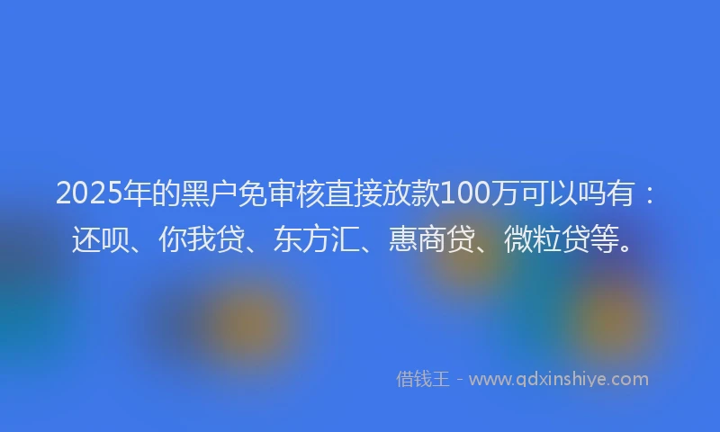 2025年的黑户免审核直接放款100万可以吗有：还呗、你我贷、东方汇、惠商贷、微粒贷等。