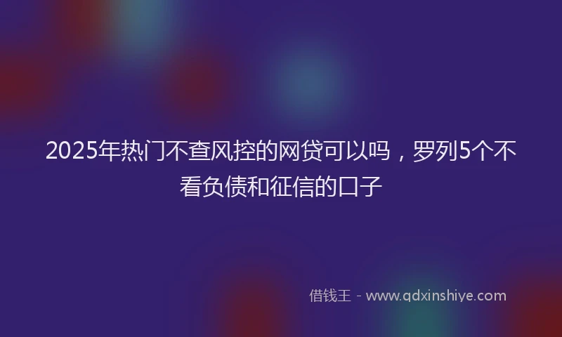 2025年热门不查风控的网贷可以吗，罗列5个不看负债和征信的口子