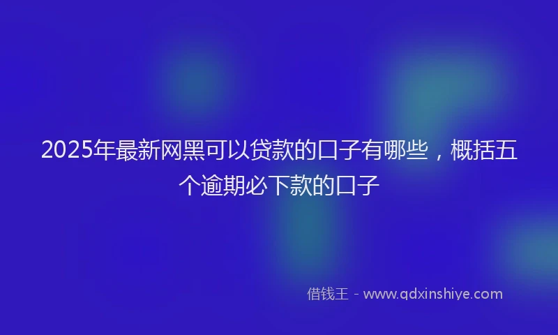 2025年最新网黑可以贷款的口子有哪些,概括五个逾期必下款的口子
