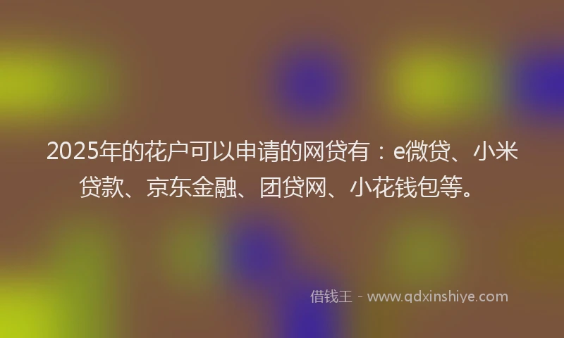 2025年的花户可以申请的网贷有：e微贷、小米贷款、京东金融、团贷网、小花钱包等。