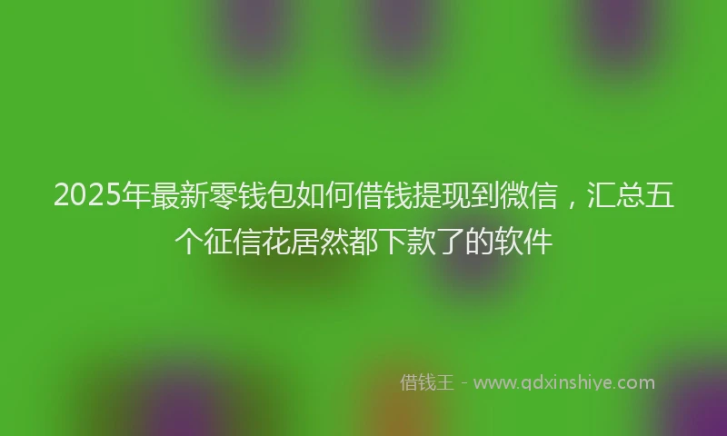 2025年最新零钱包如何借钱提现到微信，汇总五个征信花居然都下款了的软件