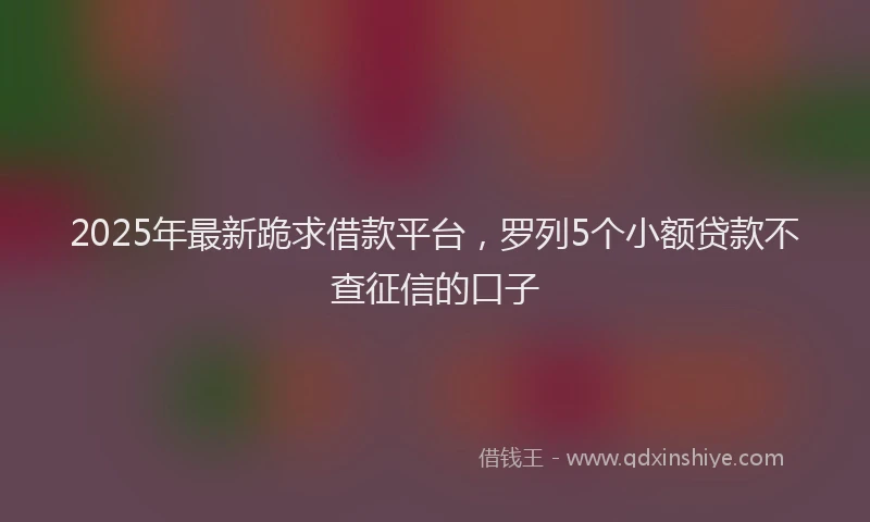 2025年最新跪求借款平台，罗列5个小额贷款不查征信的口子