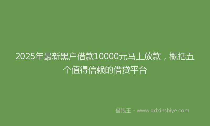 2025年最新黑户借款10000元马上放款，概括五个值得信赖的借贷平台