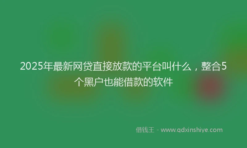 2025年最新网贷直接放款的平台叫什么，整合5个黑户也能借款的软件