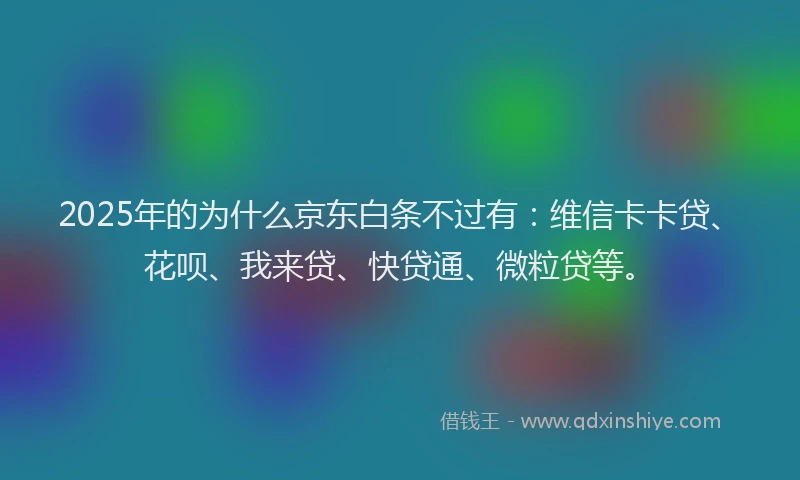 2025年的为什么京东白条不过有：维信卡卡贷、花呗、我来贷、快贷通、微粒贷等。