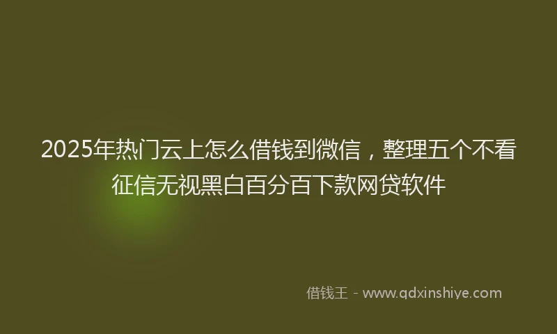 2025年热门云上怎么借钱到微信，整理五个不看征信无视黑白百分百下款网贷软件