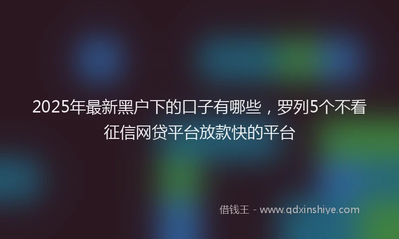 2025年最新黑户下的口子有哪些，罗列5个不看征信网贷平台放款快的平台