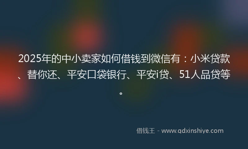 2025年的中小卖家如何借钱到微信有：小米贷款、替你还、平安口袋银行、平安i贷、51人品贷等。