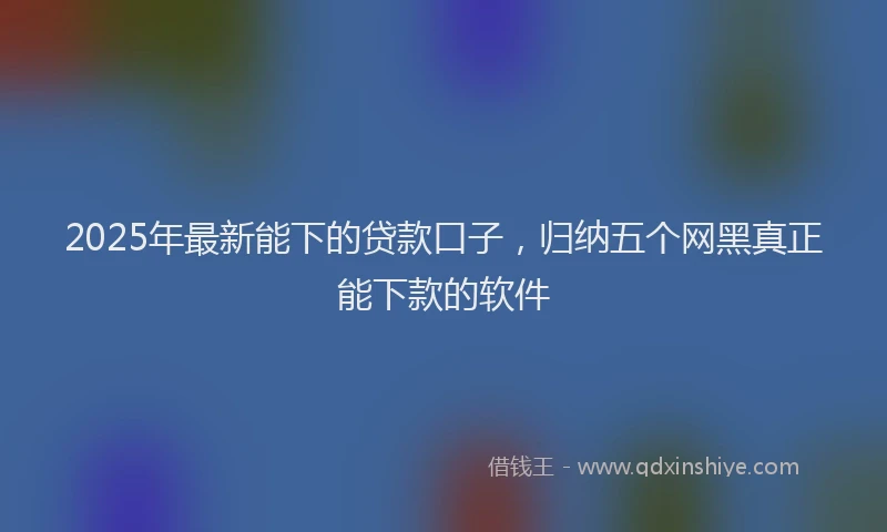 2025年最新能下的贷款口子，归纳五个网黑真正能下款的软件