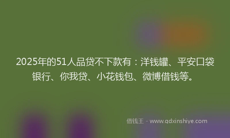 2025年的51人品贷不下款有：洋钱罐、平安口袋银行、你我贷、小花钱包、微博借钱等。