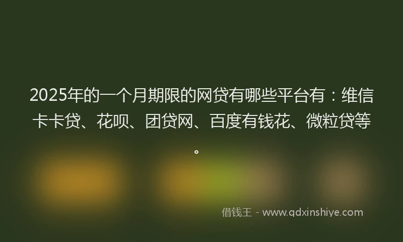 2025年的一个月期限的网贷有哪些平台有：维信卡卡贷、花呗、团贷网、百度有钱花、微粒贷等。