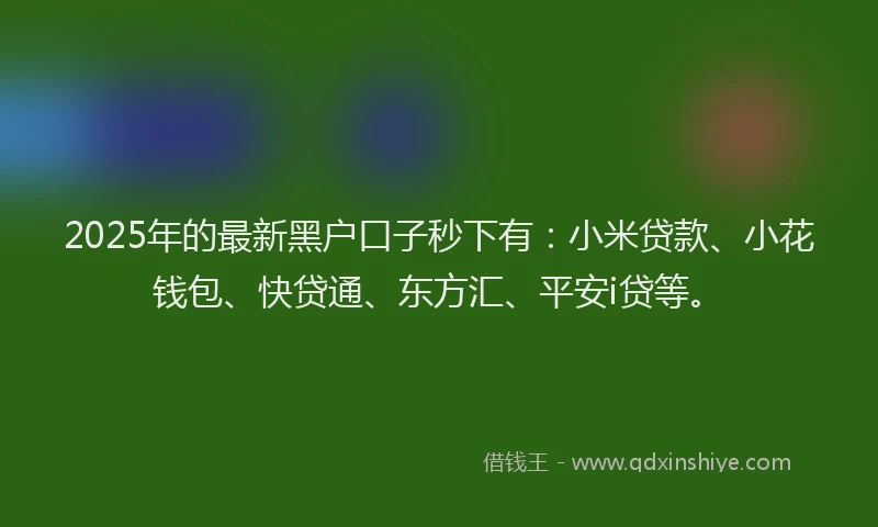 2025年的最新黑户口子秒下有：小米贷款、小花钱包、快贷通、东方汇、平安i贷等。