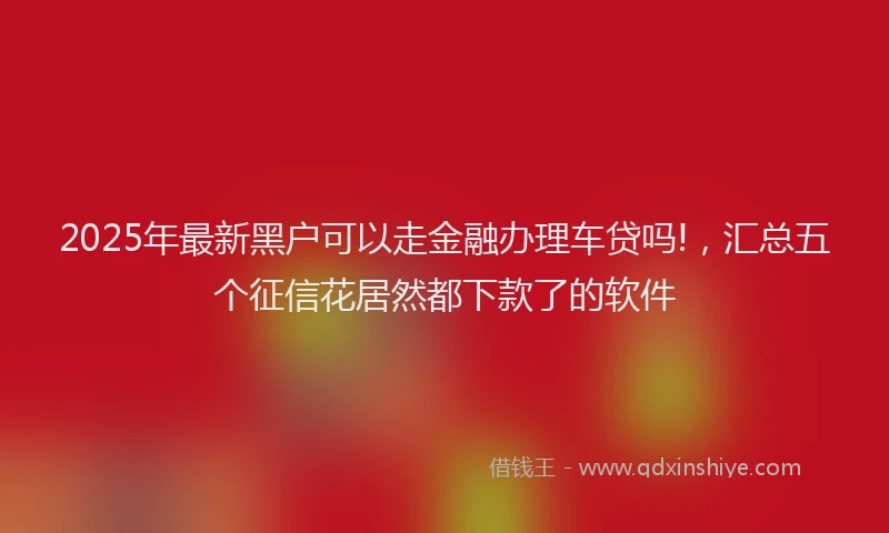 2025年最新黑户可以走金融办理车贷吗!，汇总五个征信花居然都下款了的软件