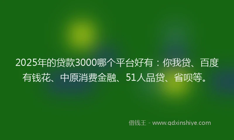 2025年的贷款3000哪个平台好有：你我贷、百度有钱花、中原消费金融、51人品贷、省呗等。