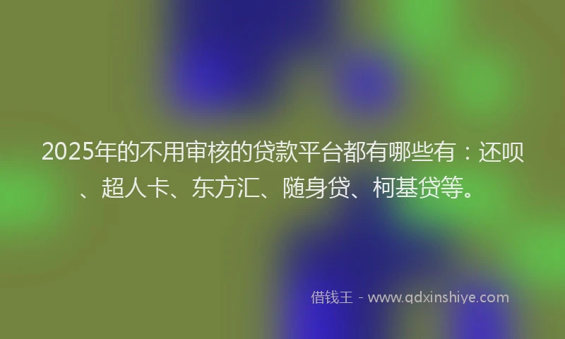 2025年的不用审核的贷款平台都有哪些有：还呗、超人卡、东方汇、随身贷、柯基贷等。