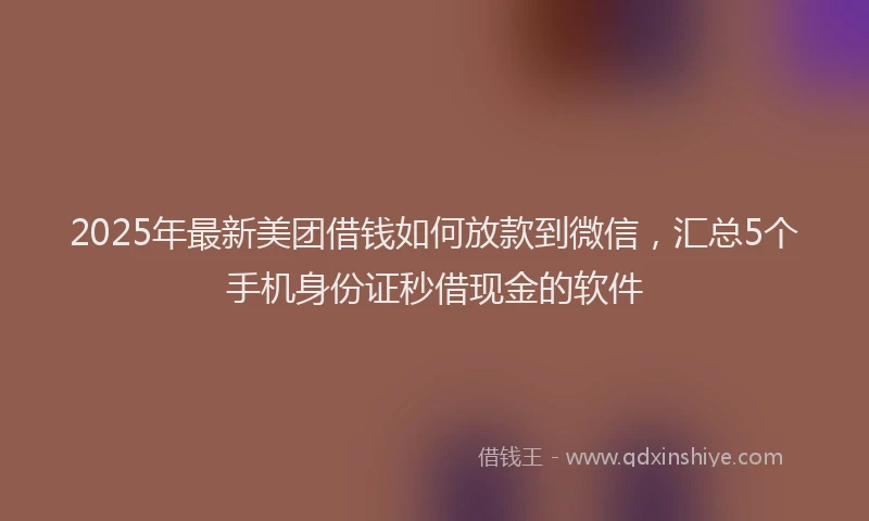 2025年最新美团借钱如何放款到微信，汇总5个手机身份证秒借现金的软件