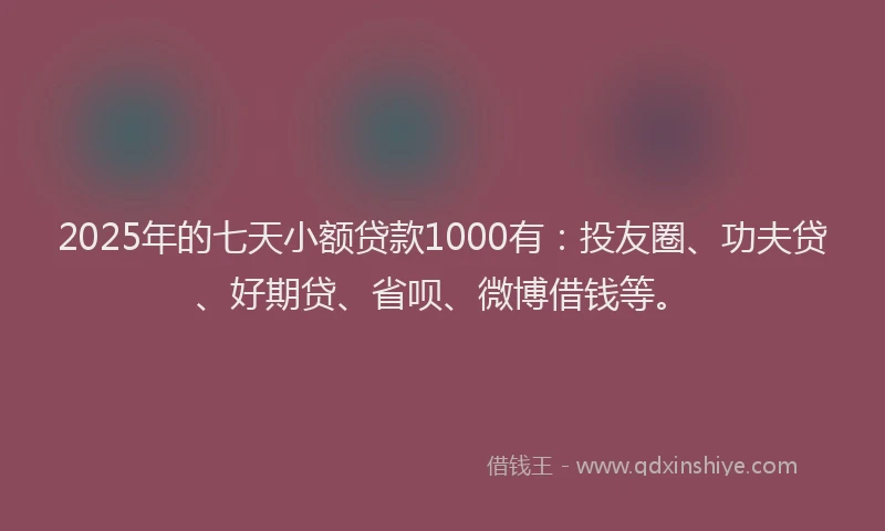 2025年的七天小额贷款1000有：投友圈、功夫贷、好期贷、省呗、微博借钱等。