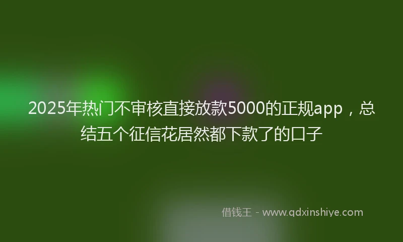 2025年热门不审核直接放款5000的正规app，总结五个征信花居然都下款了的口子