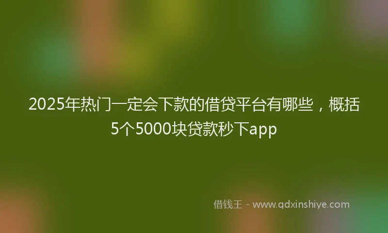 2025年热门一定会下款的借贷平台有哪些，概括5个5000块贷款秒下app