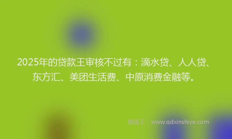 2025年的贷款王审核不过有：滴水贷、人人贷、东方汇、美团生活费、中原消费金融等。