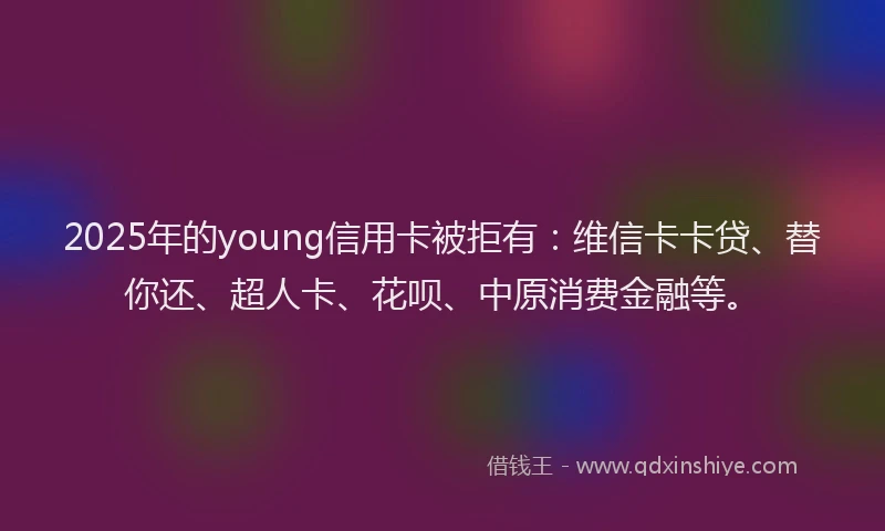 2025年的young信用卡被拒有：维信卡卡贷、替你还、超人卡、花呗、中原消费金融等。