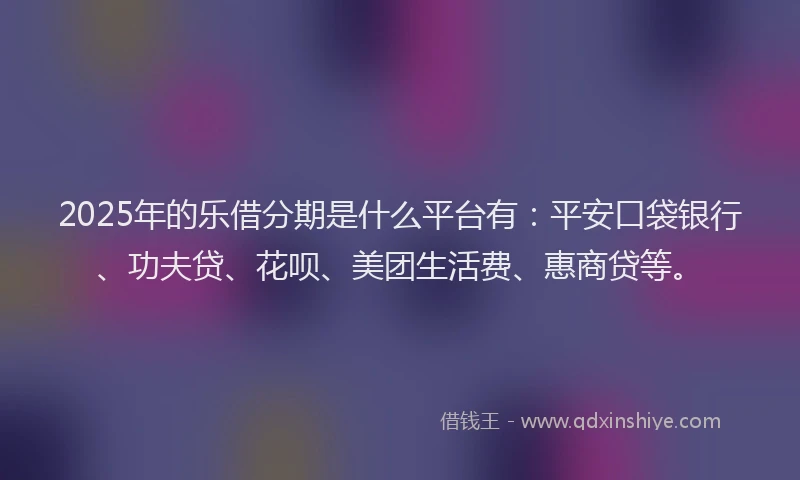 2025年的乐借分期是什么平台有：平安口袋银行、功夫贷、花呗、美团生活费、惠商贷等。