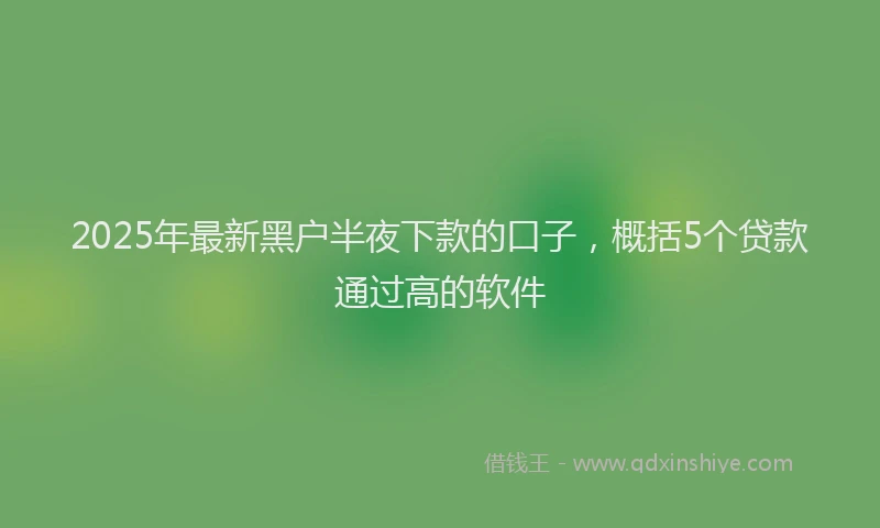 2025年最新黑户半夜下款的口子，概括5个贷款通过高的软件