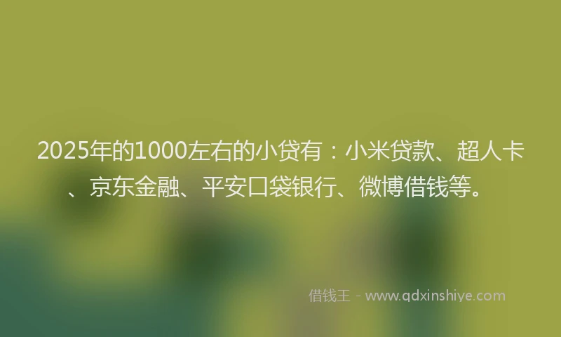 2025年的1000左右的小贷有：小米贷款、超人卡、京东金融、平安口袋银行、微博借钱等。