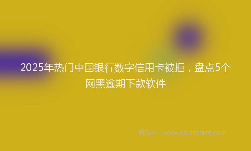2025年热门中国银行数字信用卡被拒，盘点5个网黑逾期下款软件