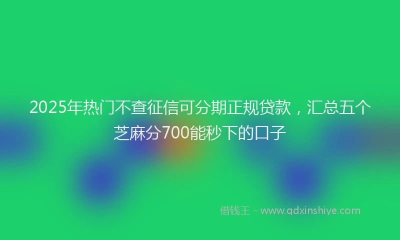 2025年热门不查征信可分期正规贷款，汇总五个芝麻分700能秒下的口子