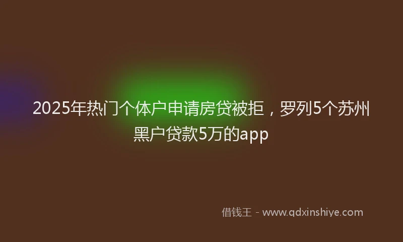 2025年热门个体户申请房贷被拒，罗列5个苏州黑户贷款5万的app