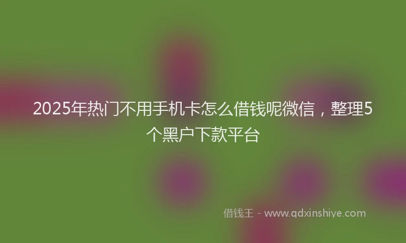 2025年热门不用手机卡怎么借钱呢微信，整理5个黑户下款平台