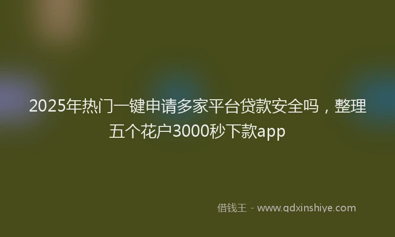 2025年热门一键申请多家平台贷款安全吗，整理五个花户3000秒下款app