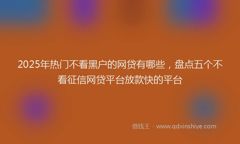 2025年热门不看黑户的网贷有哪些，盘点五个不看征信网贷平台放款快的平台