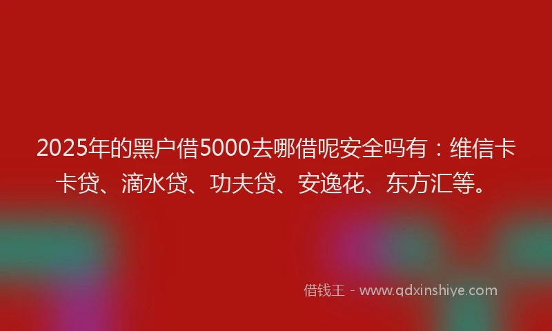 2025年的黑户借5000去哪借呢安全吗有：维信卡卡贷、滴水贷、功夫贷、安逸花、东方汇等。