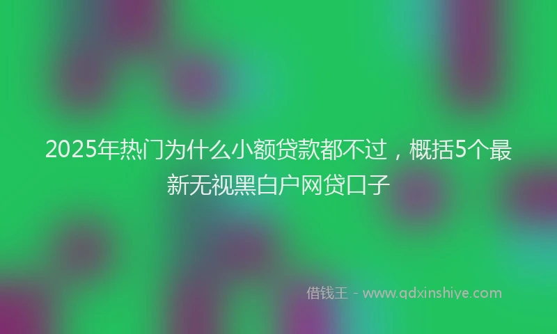 2025年热门为什么小额贷款都不过，概括5个最新无视黑白户网贷口子