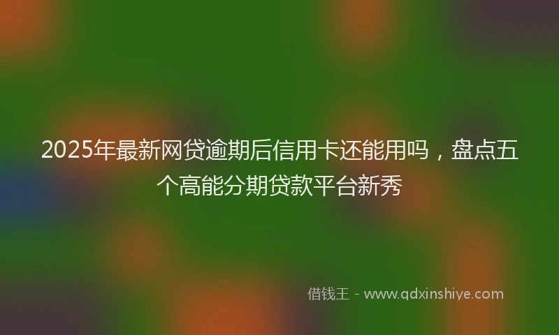 2025年最新网贷逾期后信用卡还能用吗，盘点五个高能分期贷款平台新秀