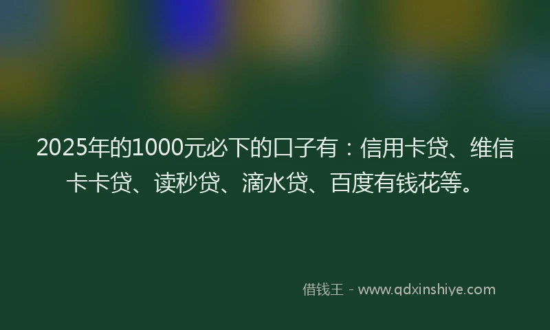 2025年的1000元必下的口子有：信用卡贷、维信卡卡贷、读秒贷、滴水贷、百度有钱花等。