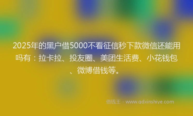 2025年的黑户借5000不看征信秒下款微信还能用吗有：拉卡拉、投友圈、美团生活费、小花钱包、微博借钱等。
