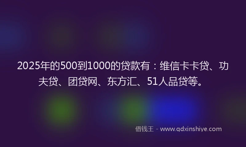 2025年的500到1000的贷款有：维信卡卡贷、功夫贷、团贷网、东方汇、51人品贷等。