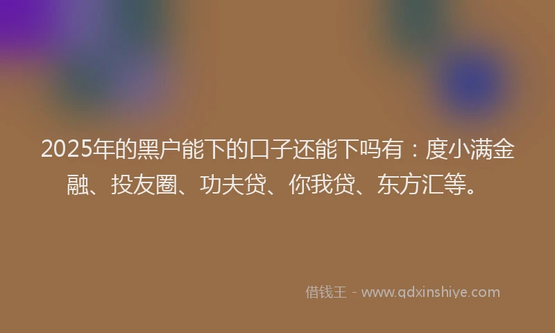 2025年的黑户能下的口子还能下吗有：度小满金融、投友圈、功夫贷、你我贷、东方汇等。