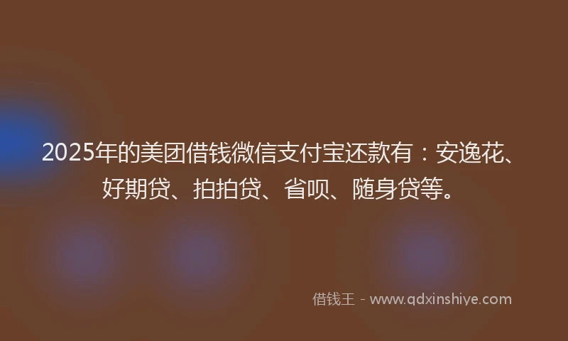 2025年的美团借钱微信支付宝还款有：安逸花、好期贷、拍拍贷、省呗、随身贷等。
