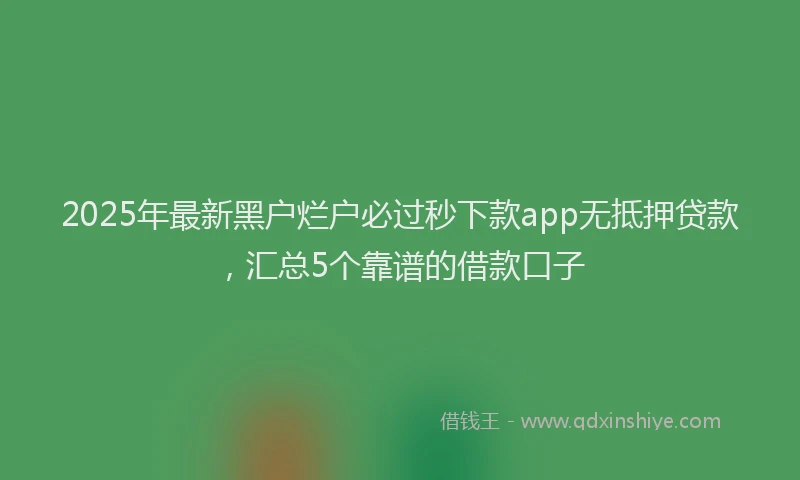 2025年最新黑户烂户必过秒下款app无抵押贷款，汇总5个靠谱的借款口子
