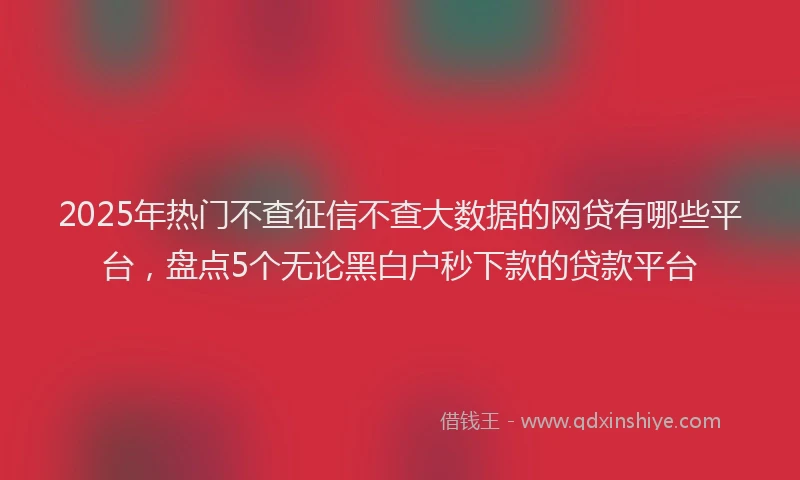 2025年热门不查征信不查大数据的网贷有哪些平台，盘点5个无论黑白户秒下款的贷款平台
