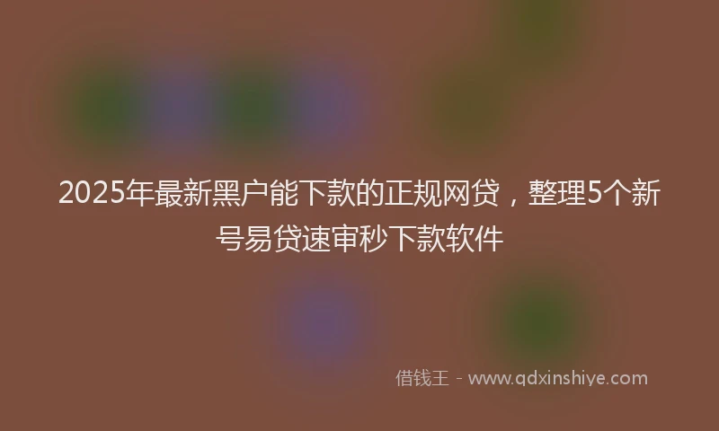 2025年最新黑户能下款的正规网贷，整理5个新号易贷速审秒下款软件