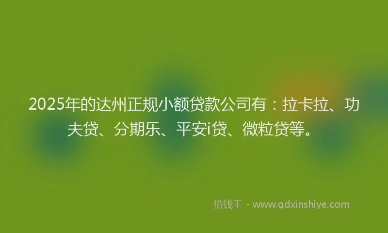 2025年的达州正规小额贷款公司有：拉卡拉、功夫贷、分期乐、平安i贷、微粒贷等。