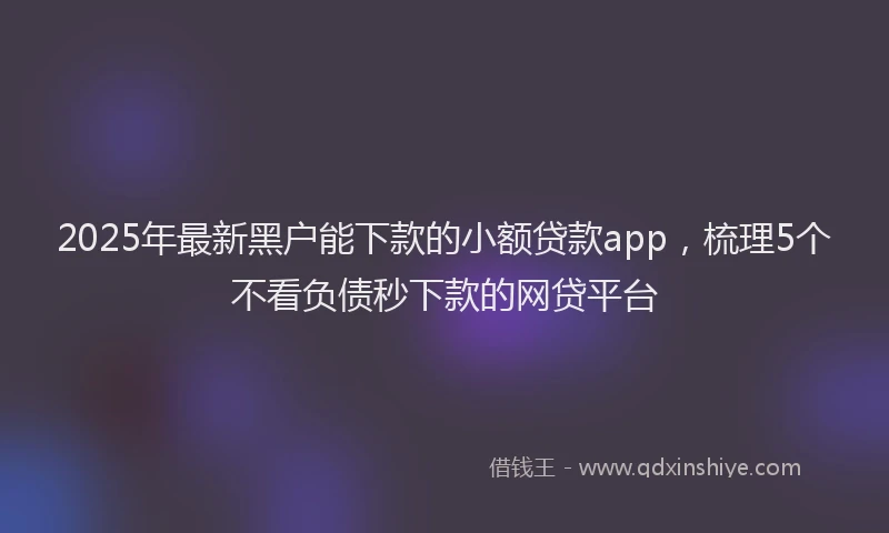 2025年最新黑户能下款的小额贷款app，梳理5个不看负债秒下款的网贷平台