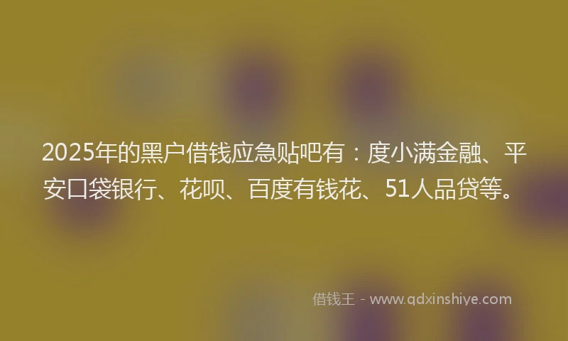 2025年的黑户借钱应急贴吧有：度小满金融、平安口袋银行、花呗、百度有钱花、51人品贷等。