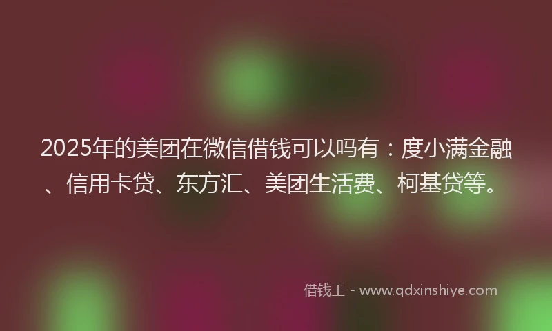 2025年的美团在微信借钱可以吗有：度小满金融、信用卡贷、东方汇、美团生活费、柯基贷等。